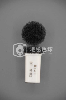 DT N102