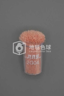 ARS 2G04