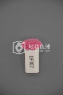 DF107