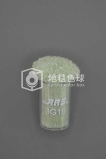ARS 3G16