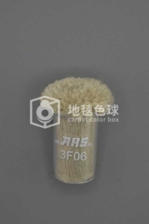 ARS 3F06