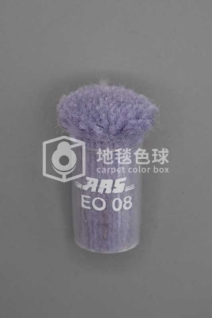 ARS EO08