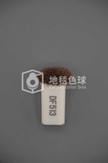 DF513
