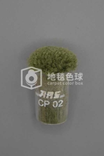 ARS CP02