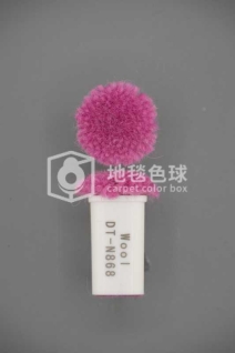 DT N868