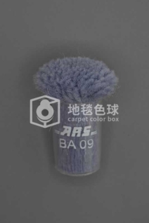 ARS BA09