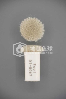 DT N067