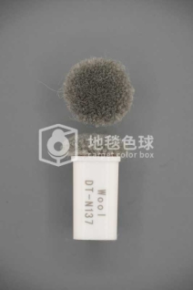 DT N137