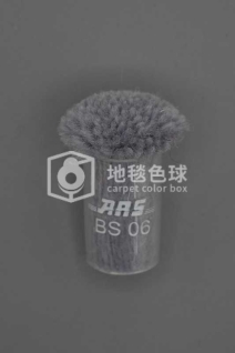 ARS BS06