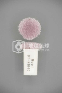 DT N1640