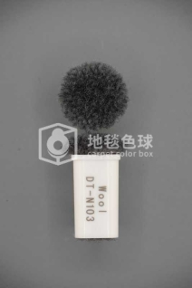 DT N103