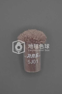 ARS 5J01