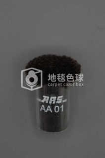 ARS AA01