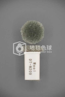 DT N209