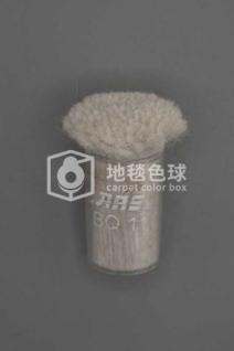 ARS BQ11