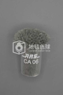 ARS CA06