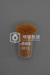 ARS 3I10