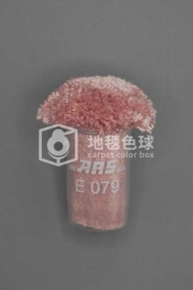 ARS E079
