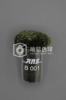 ARS B001