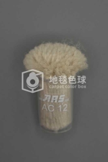 ARS AC12