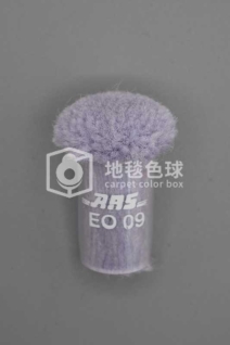 ARS EO09