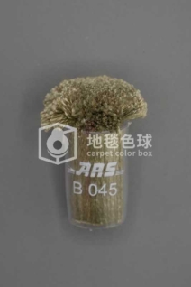 ARS B045