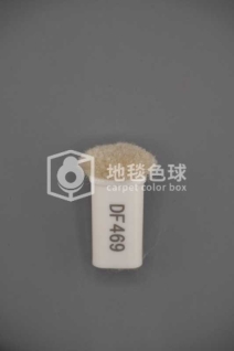 DF469