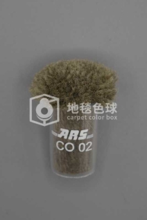 ARS CO02