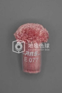 ARS E077