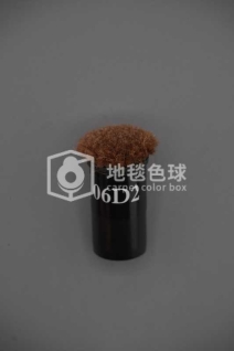 06D2