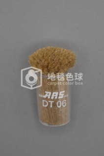 ARS DT06