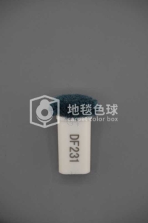 DF231