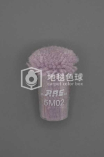 ARS 5M02