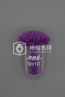 ARS 5H10
