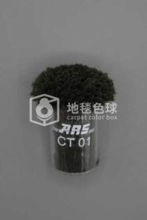 ARS CT01
