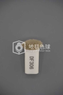 DF306