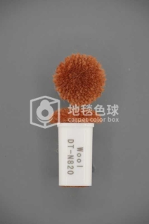 DT N820