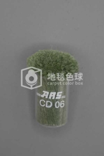 ARS CD06