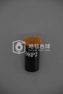 08P2