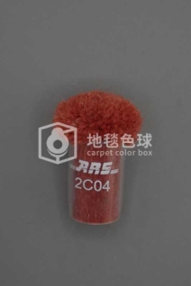 ARS 2C04