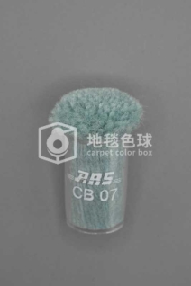 ARS CB07