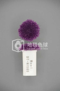 DT N1585