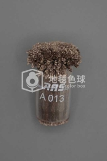 ARS A013