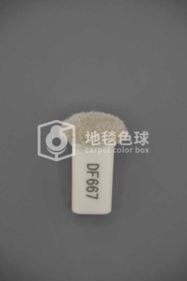 DF667