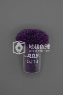 ARS 5J13