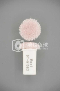 DT N1583