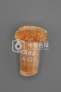 ARS A029