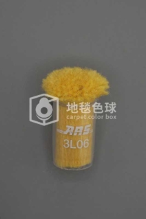 ARS 3L06