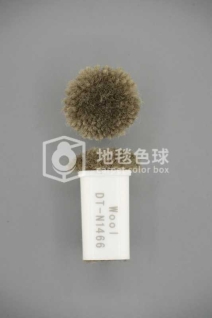DT N1466