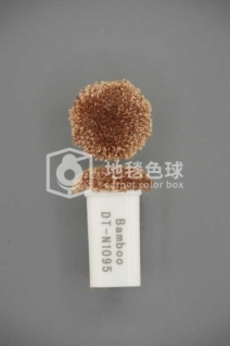 DT N1095